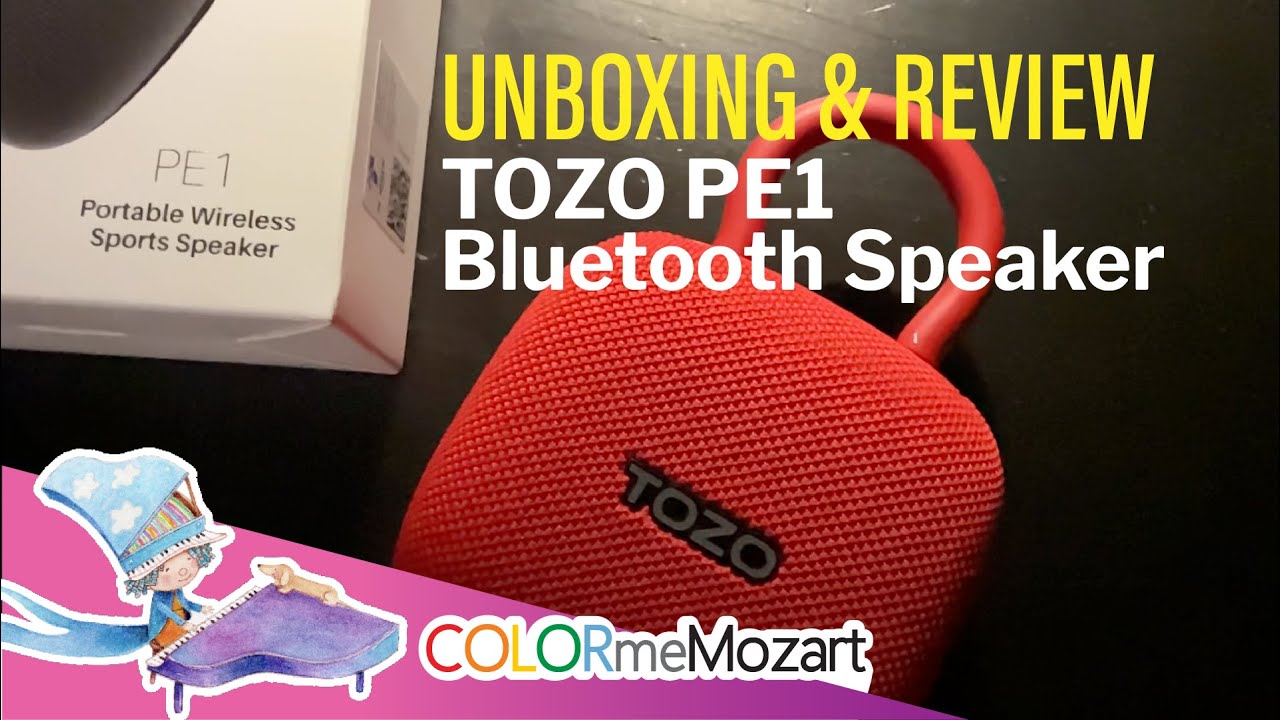 Unboxing & Honest Review: TOZO PE1 Bluetooth Speaker 🔊 | Is It Worth Your Money?