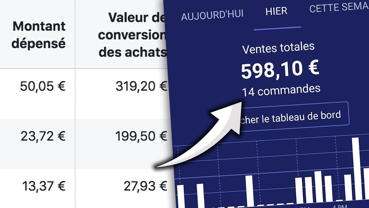 J'ANALYSE LES PUBLICITÉS FACEBOOK DE MES ABONNÉS ?! (Shopify / Dropshipping)