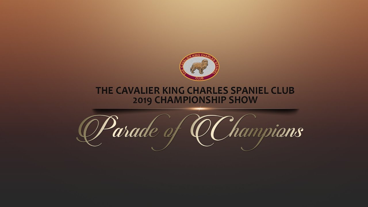 Parade of Champions 2019 - DOGS - Cavalierworld.pl