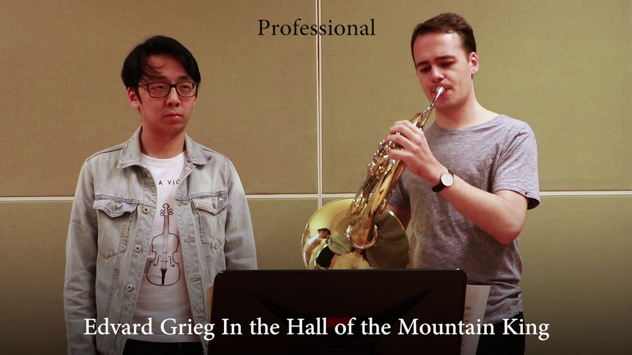 Professional vs Beginner French Horn