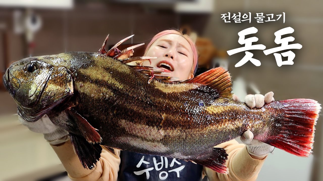 돗돔 잡을 확률=로또 당첨 확률.... 올해 운 다 썼다