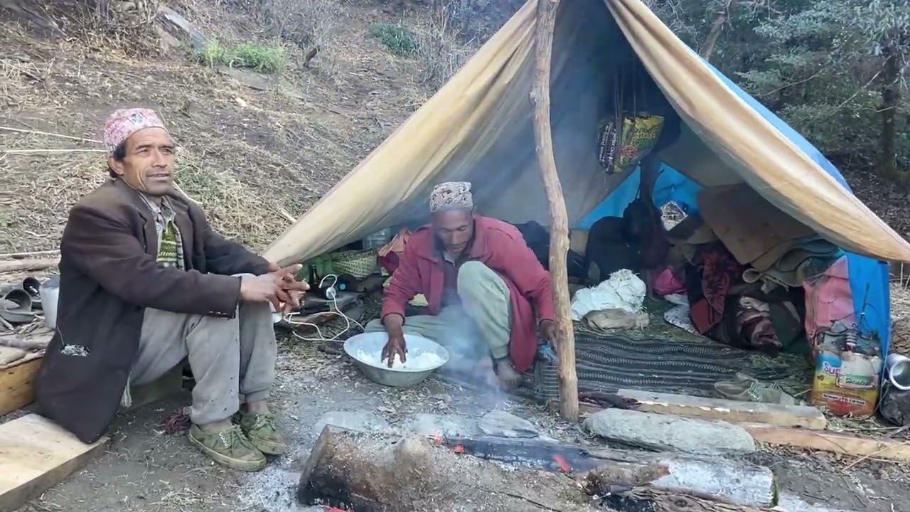 Peaceful Himalayan village Life l Shepherd Feeding Sheep in mountain Farm #explore #mountains ..more