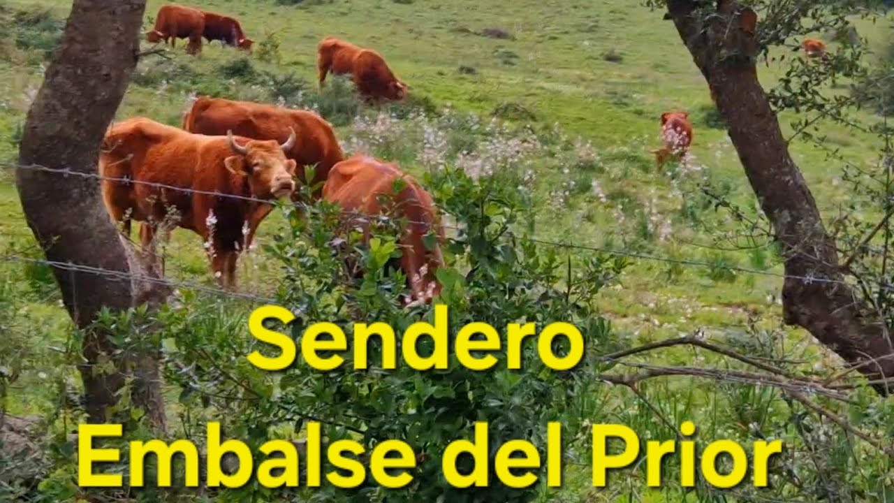 Sendero Embalse del Prior. 2026