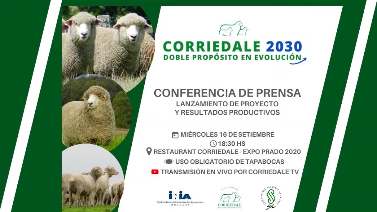 Lanzamiento del Proyecto Corriedale 2030