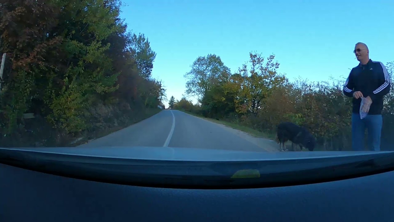PLANINARSKI DOM PLJEŠEVICA