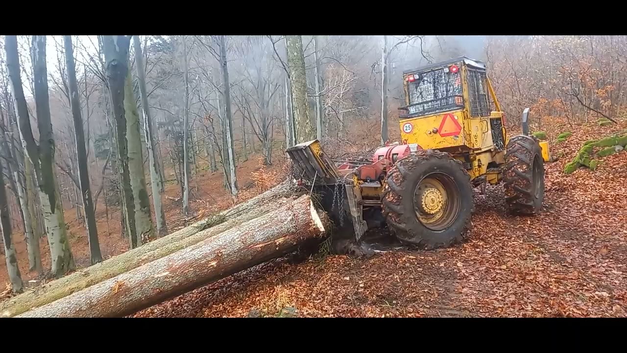 LKT 81 Turbo - Ťažba smrekov hore kopcom . Začalo nám už aj snežiť , pár fotiek z lesa . Forestwork