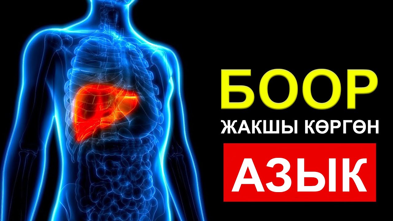 Боорго пайдалуу азыктар. Ден-солук каналы