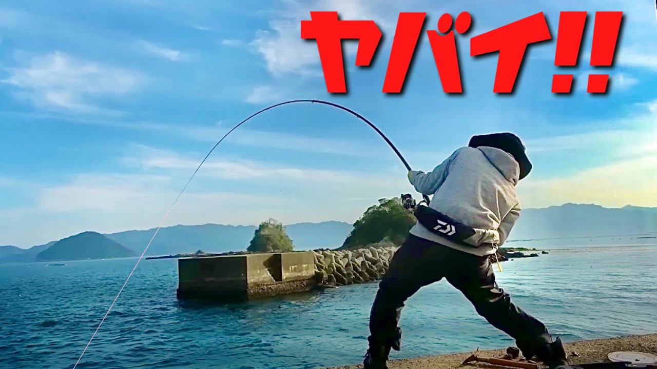 堤防から３種の鯛が連発！大物ラッシュで竿ブチ曲がり‼