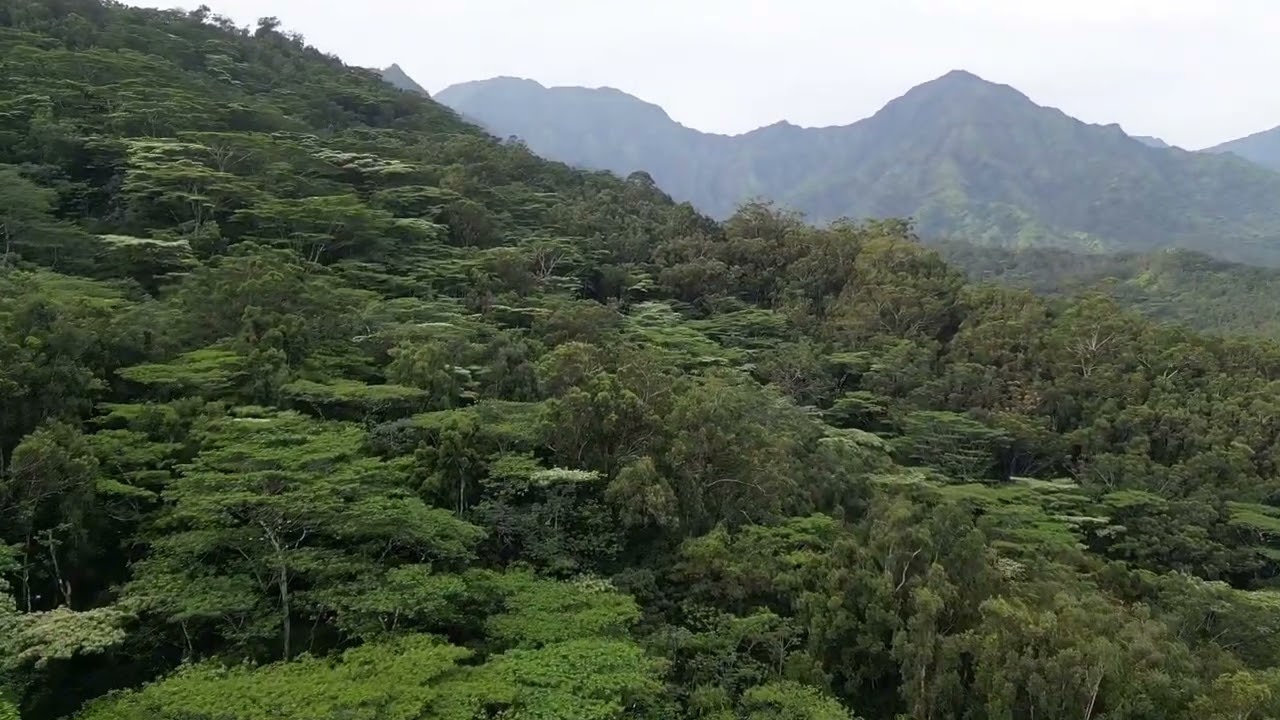 Hanalei Mountains