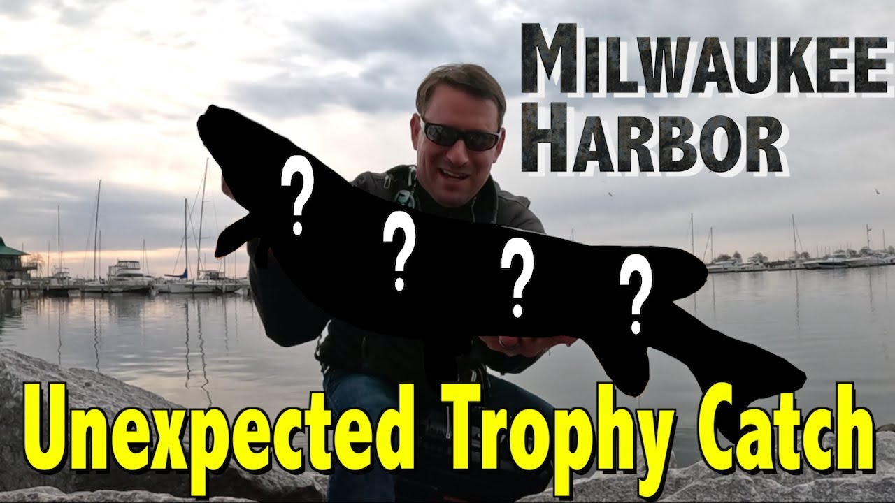 Caught this Monster while Fishing Milwaukee Harbor McKinley Marina