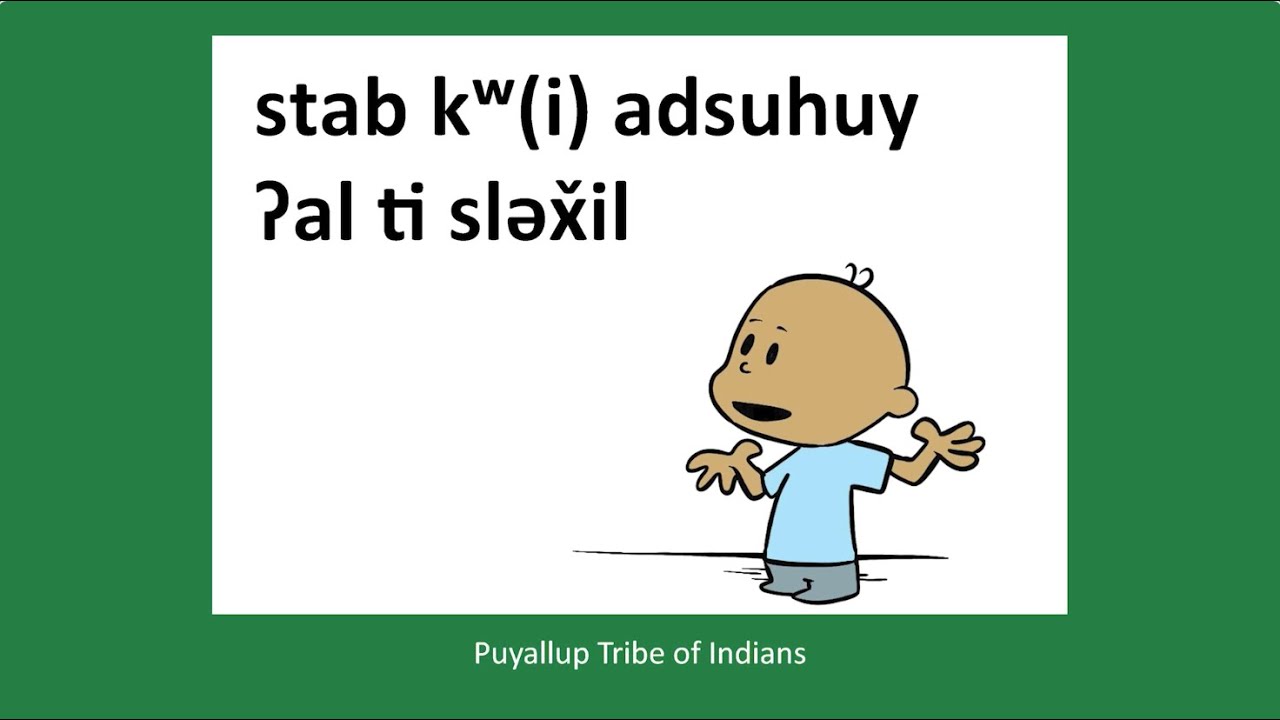 What Did You Do Today? - stab kʷ(i) adsuhuy ʔal ti sləx̌il | txʷəlšucid literacy