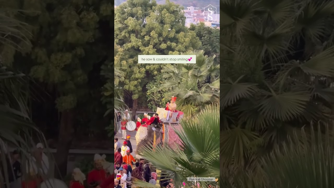 Baisa wedding scenes Udaipur | Royal Rajput wedding  #baarat #baisaraj #rajputana #nakhralighoomar #