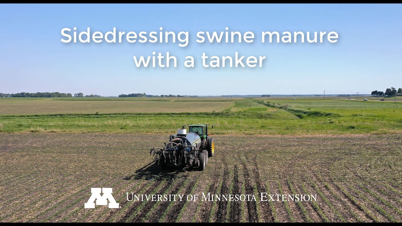 Sidedressing manure - 2020 Update