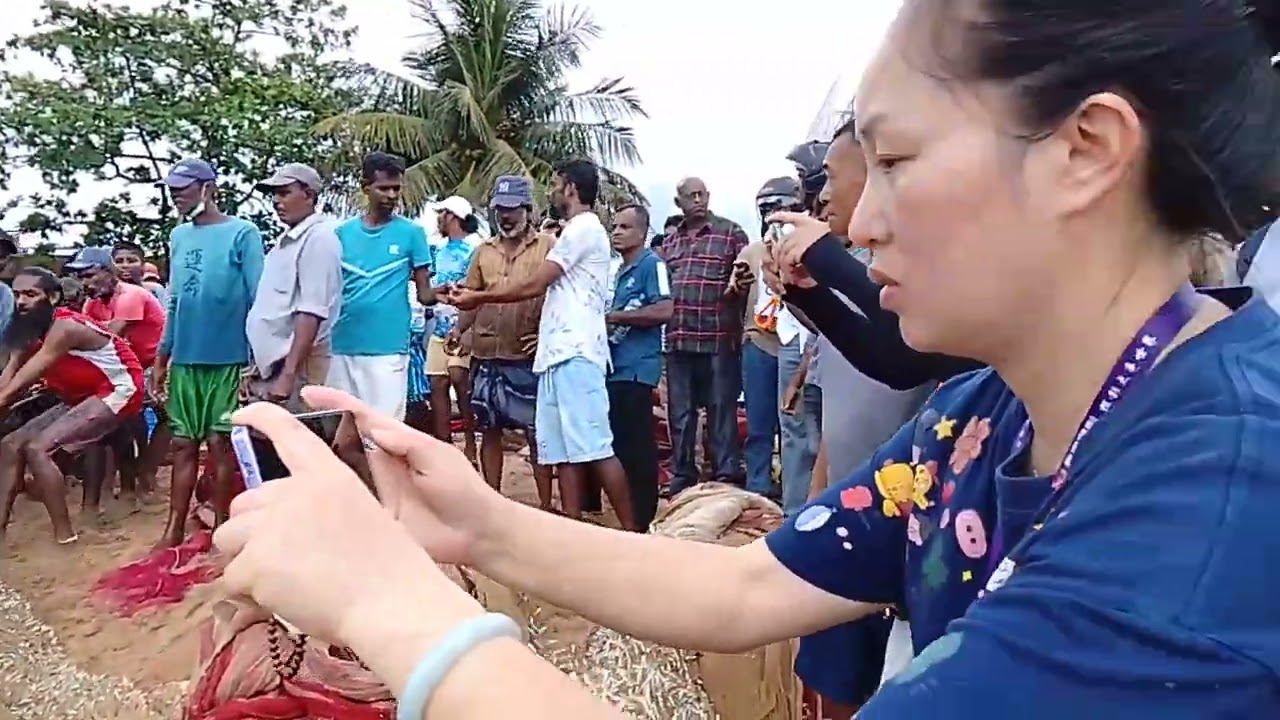 විදේශිකයන් පවා විශ්මයට පත් කළ ගාල්ලේ මා දැල 