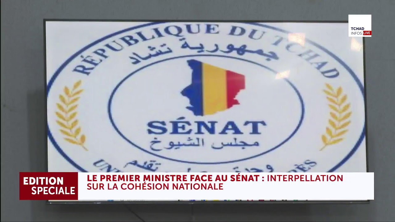 Diffusion en direct de Tchadinfos