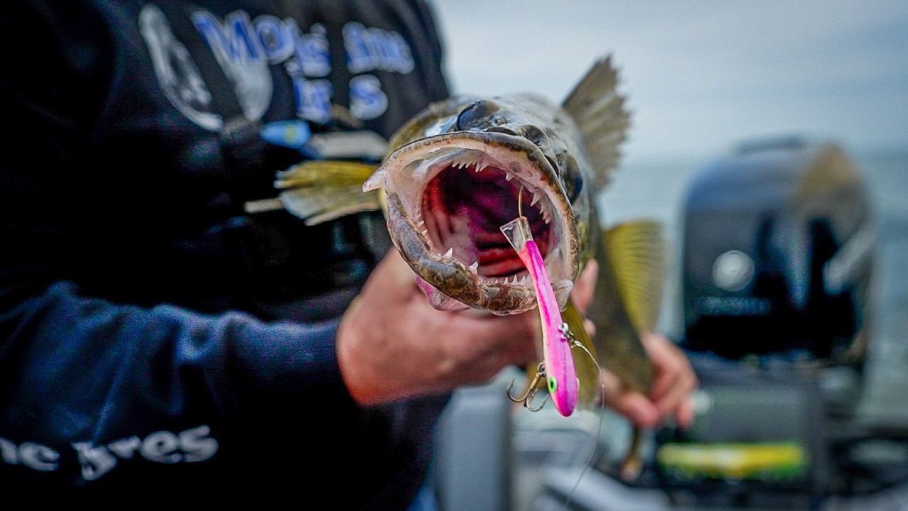 Как поймать судака осенью на GLIDE BAITS