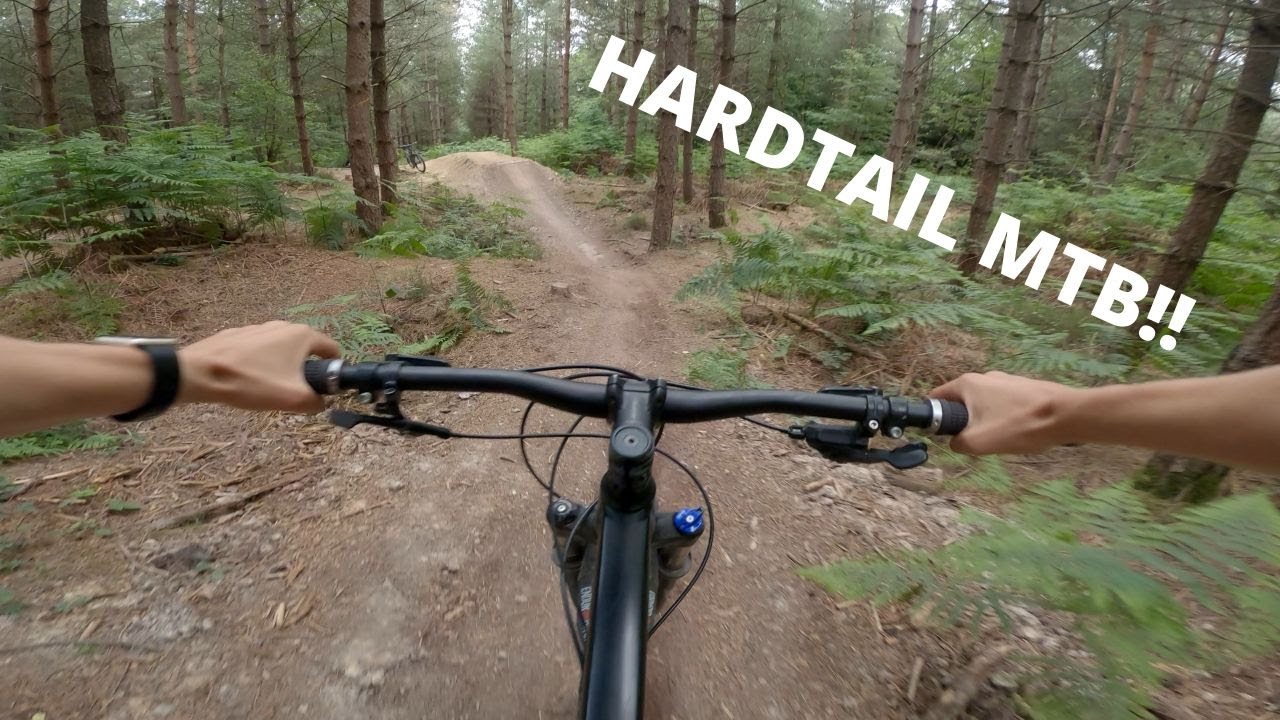 Epic Hardail day in st Leonard's Forest!!
