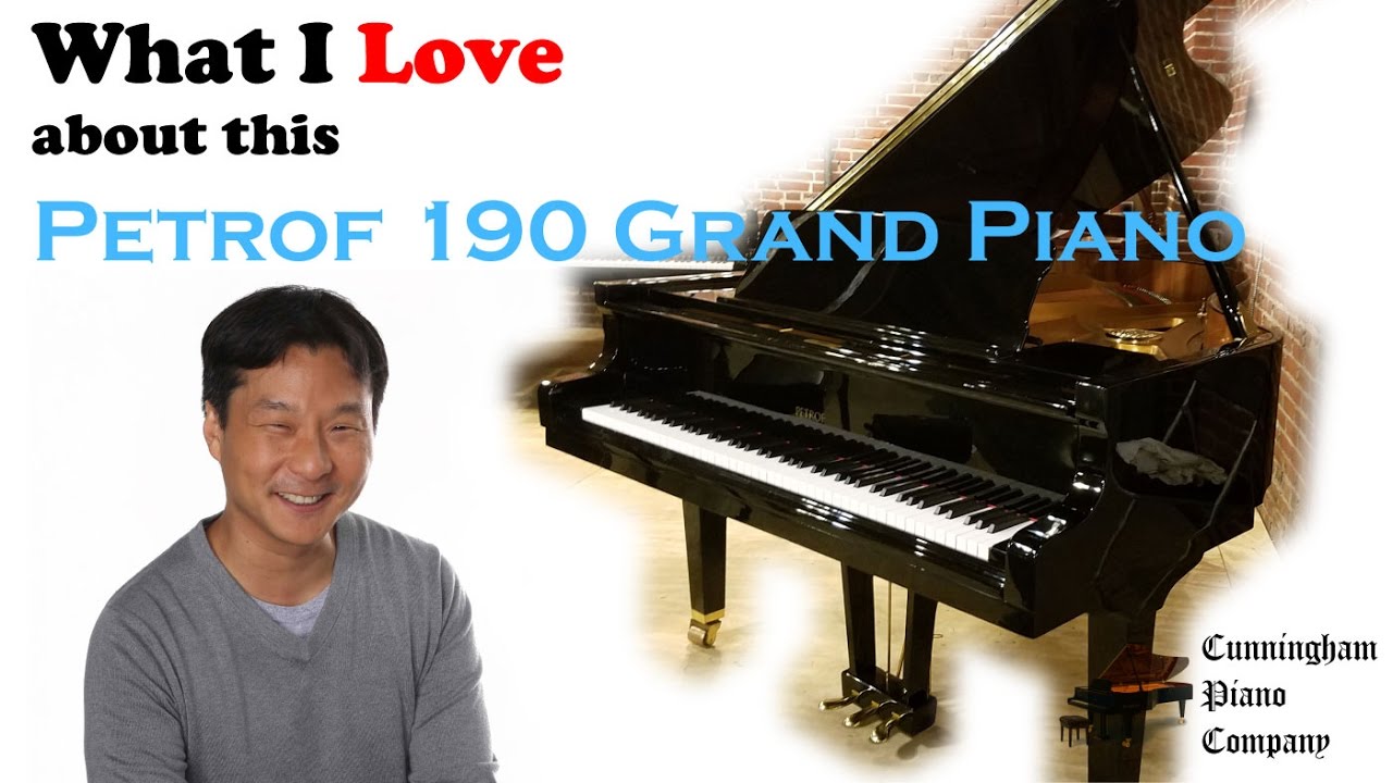 What I Love About This 1993 Petrof 190 Grand Piano