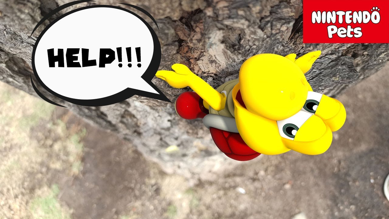 Adopting a little Koopa Troopa #nintendo #mario