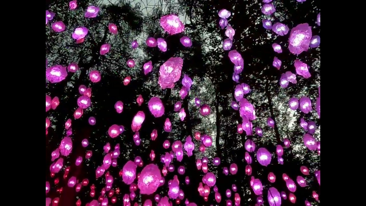 Nordic Pixel Forest by Pipilotti Rist, Ekebergparken, Oslo