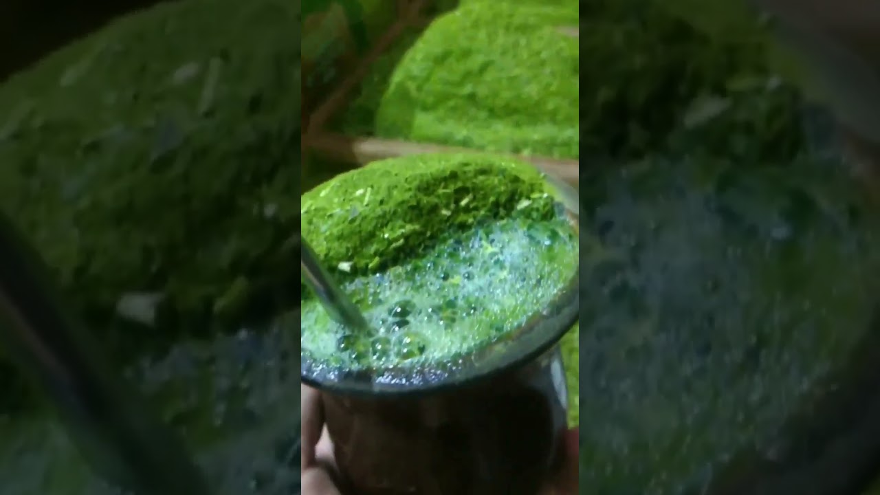 Erva-mate mo&iacute;da grossa que baita [chimarr&atilde;o] #shorts