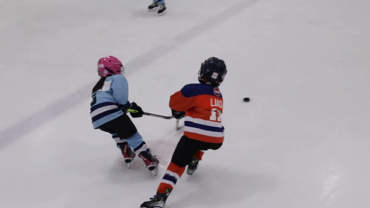 Minor Hockey (u8) Semiahmoo Eagles vs Mighty Pucks (Feb 2nd, 2023)