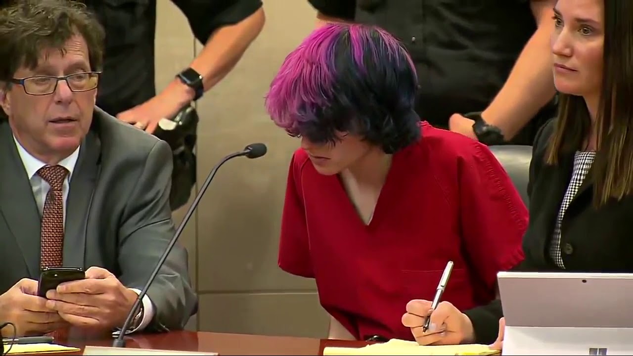 18-year-old accused in deadly STEM School shooting appears in court