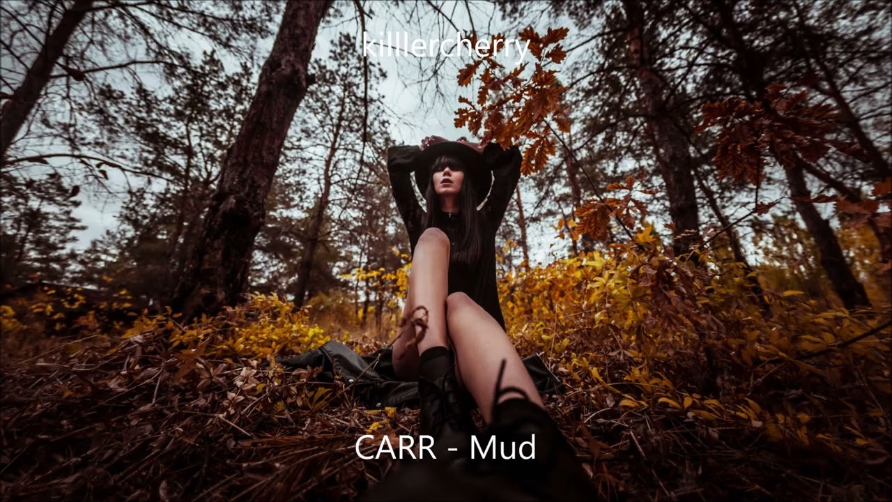 CARR - Mud