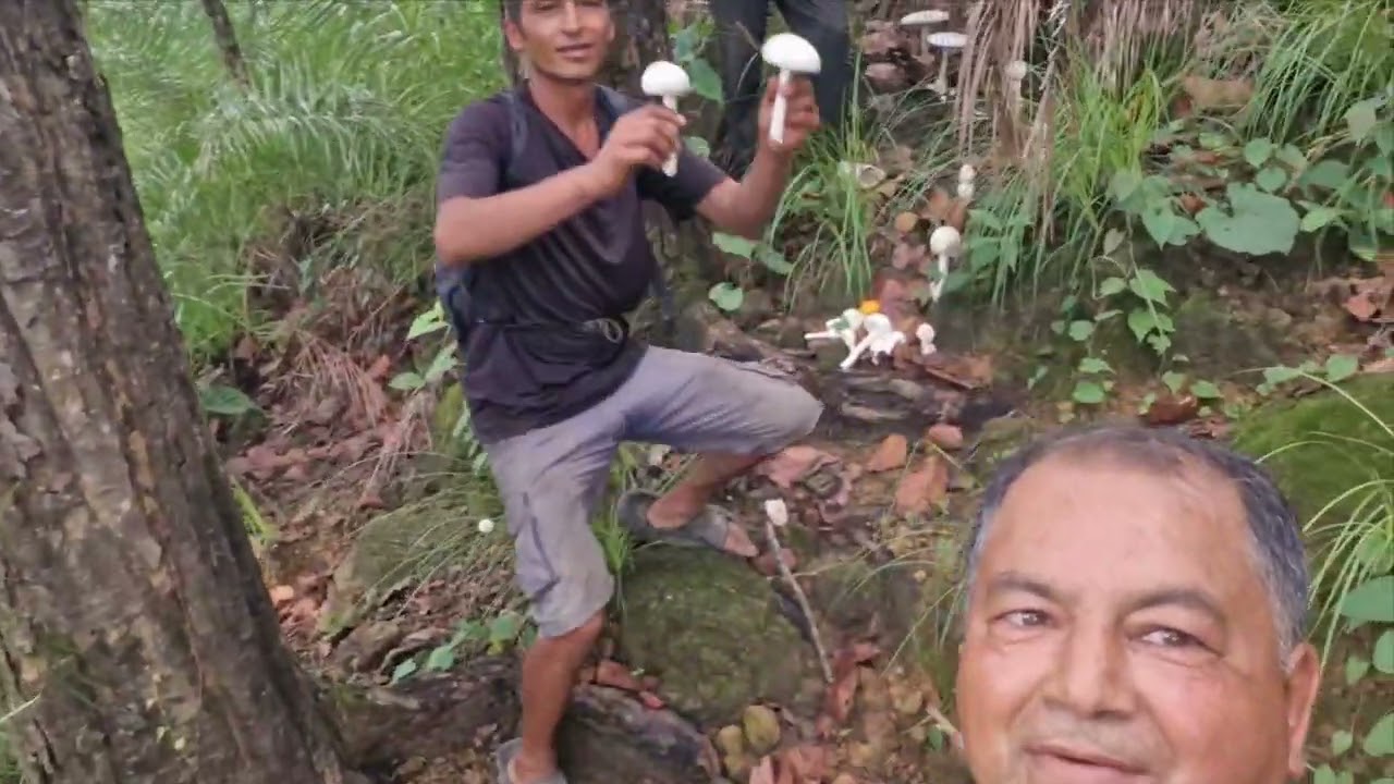झिङ्गामाराको चेउघारी तिर छम हामी त ! सबैले यो च्यानललाइ सब्स्क्राइब गर्नुहोला है !!