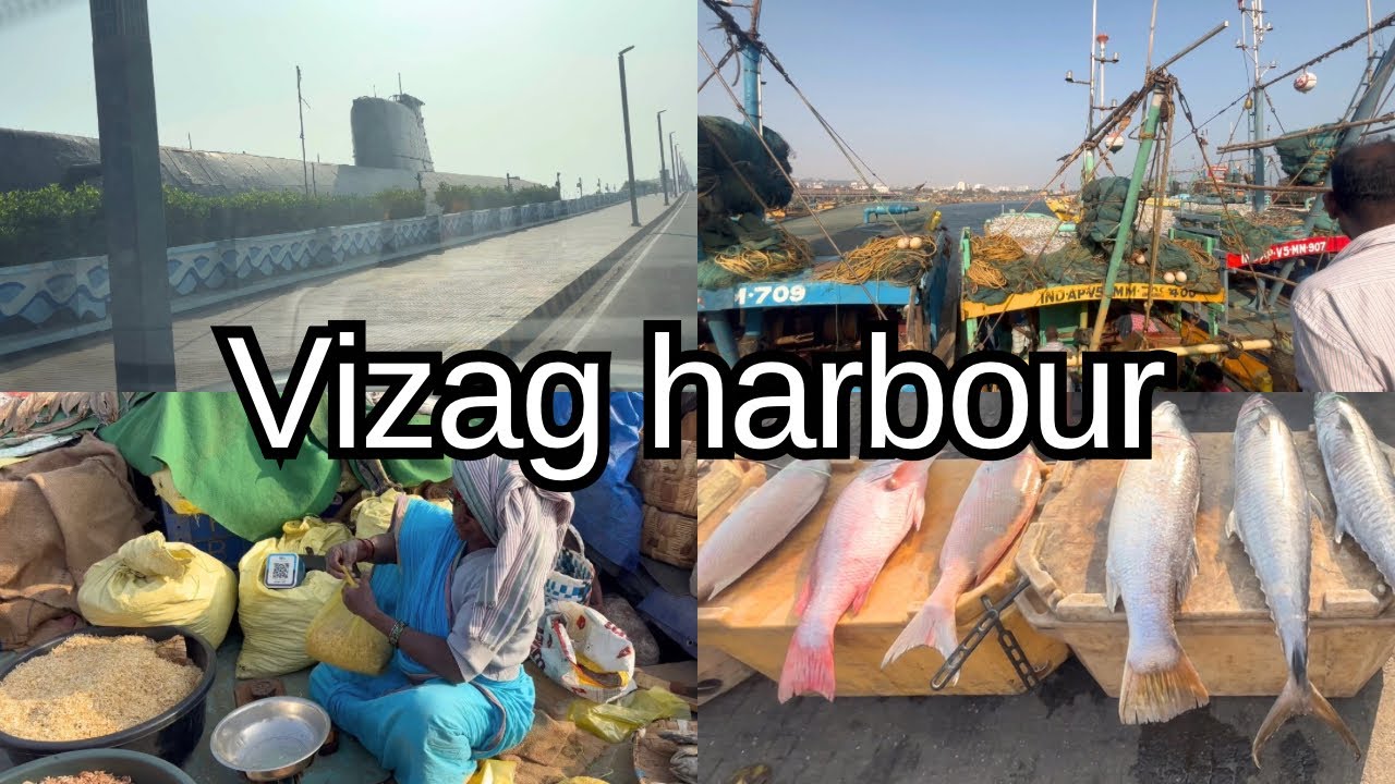 Vizag Harbour | The Largest Port on India&rsquo;s East Coast 🌊⚓