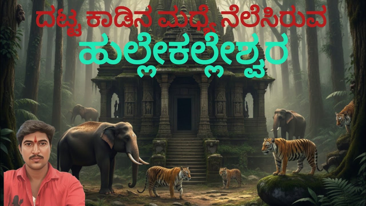ದಟ್ಟ ಕಾಡಿನ ಮಧ್ಯೆ ನೆಲೆಸಿರುವ ಹುಲ್ಲೇಕಲ್ಲೇಶ್ವರ|| ಸುತ್ತಲೂ ಆನೆ ಹುಲಿಗಳ ಸಂಚಾರ||ಚಿಕ್ಕಮಗಳೂರು|