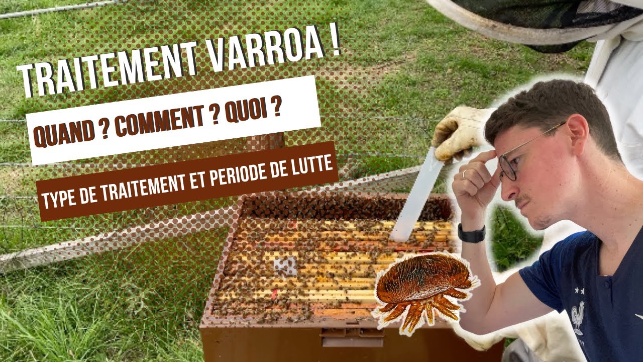 Traitement Varroa, Quand ? Comment ? Quoi ? Type de traitement et méthode de lutte [S01E22]