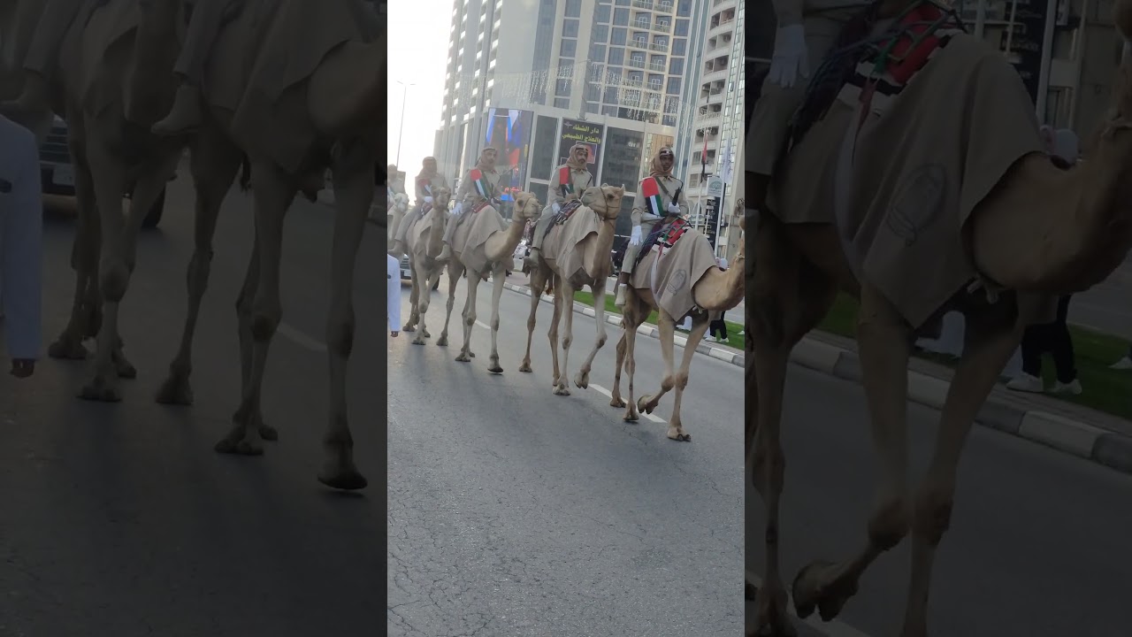 UAE NATIONAL DAY PARADE AT CORNICHE #uaenationaldayw