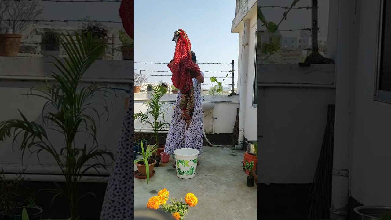 साड़ी सिर्फ कपड़ा नहीं…ये मेरी पहचान, मेरा आत्मसम्मान है 👑
