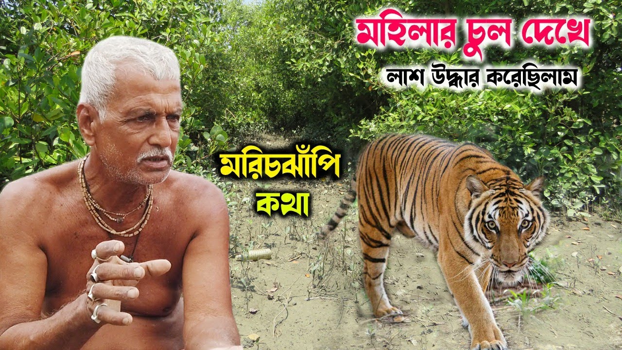 মেয়েটার চুলের চিহ্ন দেখে লাশ ফিরিয়ে এনেছি | sundarban tiger attack | morichjhapi jungle | Sundarbans