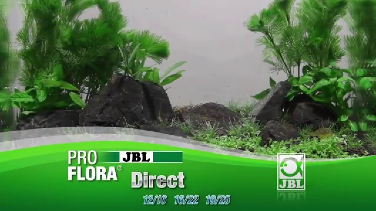 JBL Proflora Direct
