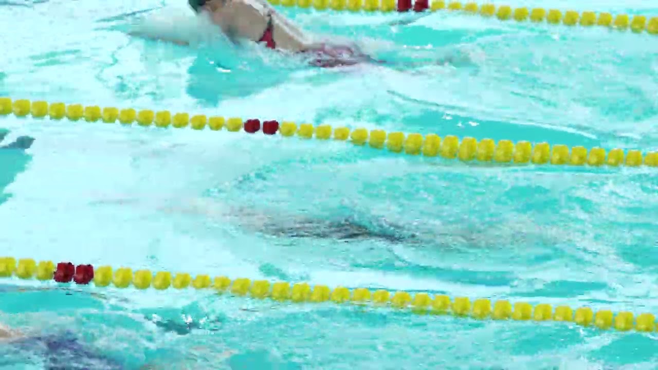 여자 평영 200 LCM 2분 41초 58 정다운 2026-03-15 고등부 예선