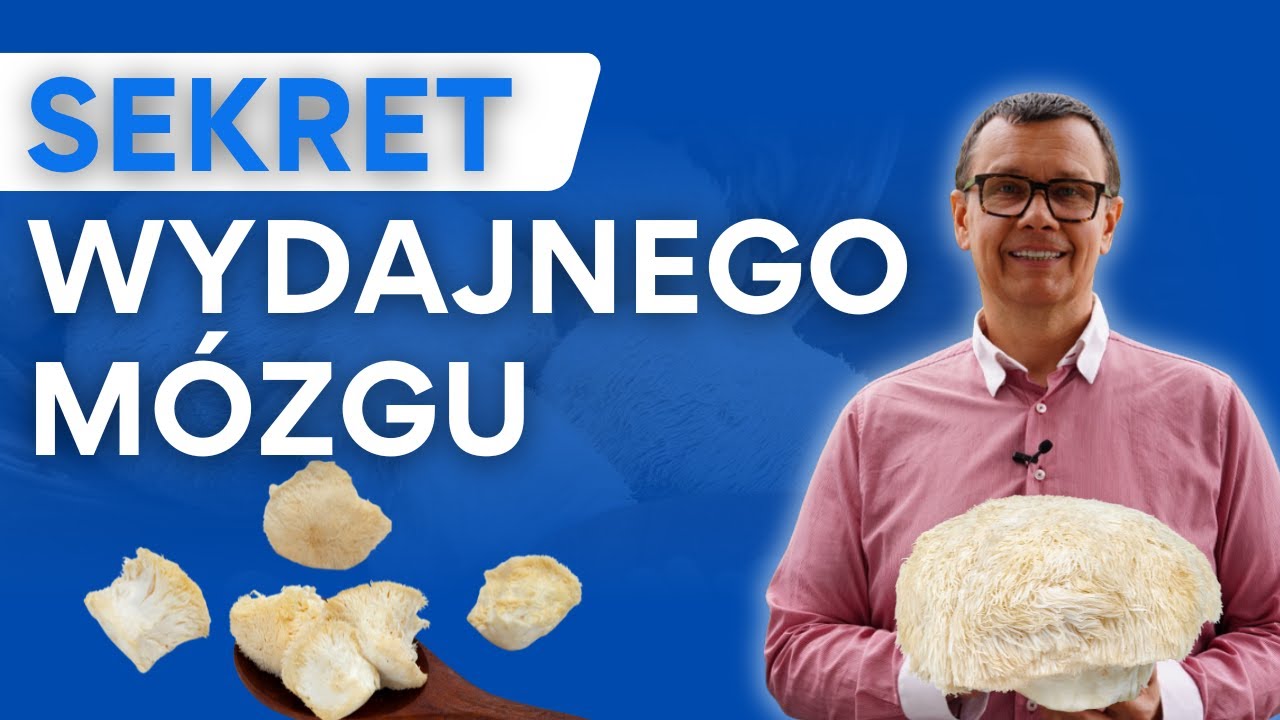 Czy ten grzyb naprawdę poprawia PAMIĘĆ i KONCENTRACJĘ? Cała prawda o Sopl&oacute;wce Jeżowatej