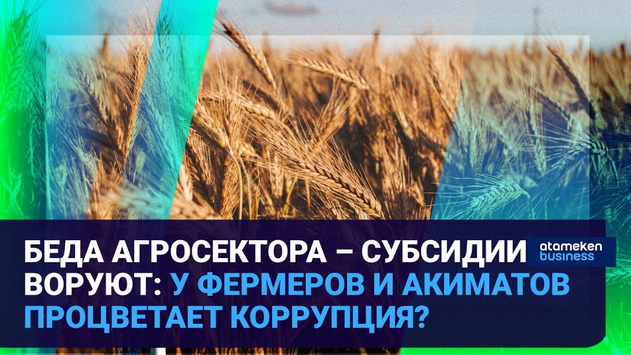Беда агросектора – субсидии воруют: у фермеров и акиматов процветает коррупция? / Время говорить