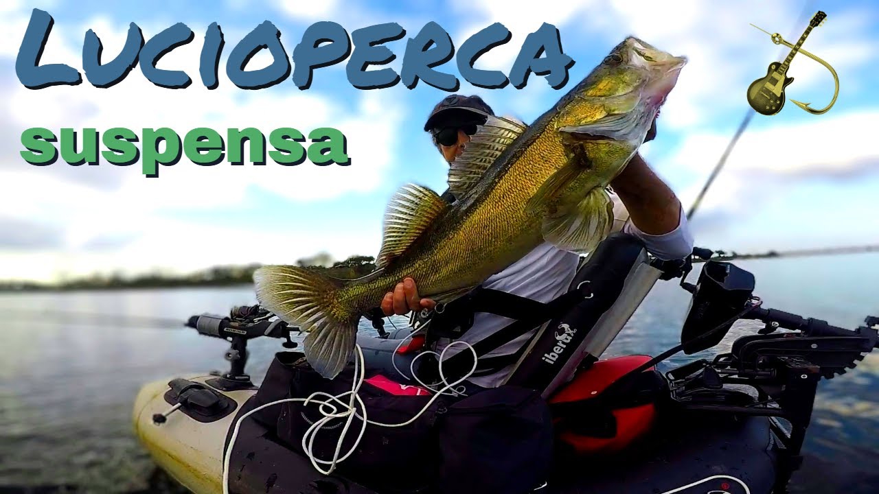 luciopercas | primeiras de outono