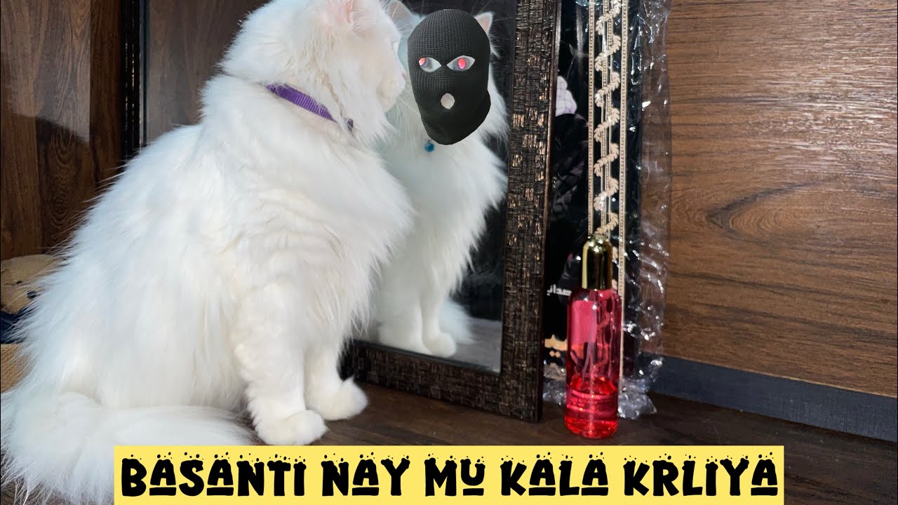 Basanti ne mounh kala krliya… breaking news..