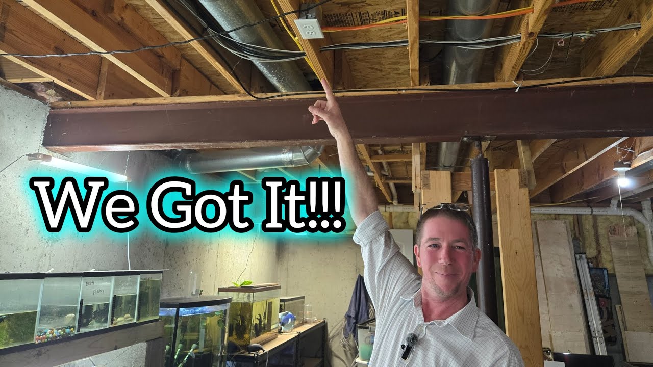 Our Fish Room Just Got ELECTRIFIED!!! ⚡