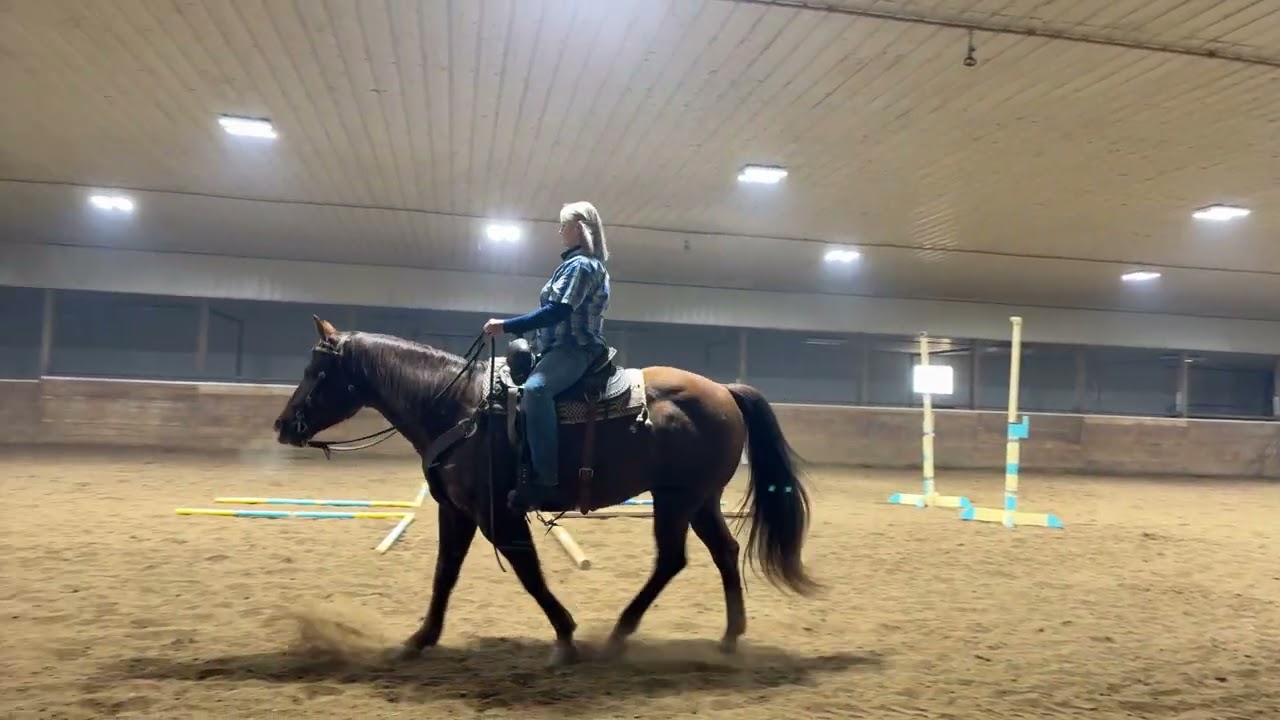 Blooper VTRC 53