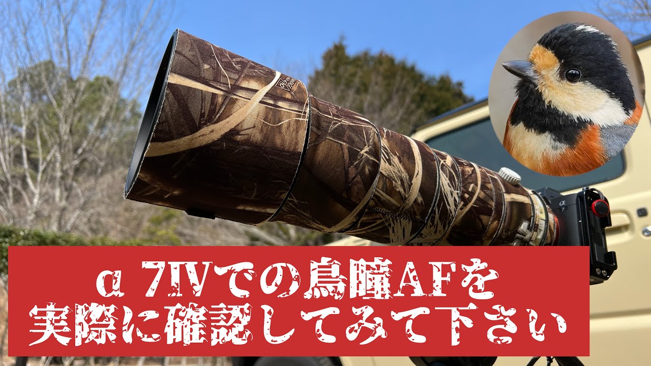 野鳥撮影初心者様へ &alpha;7Ⅳの鳥瞳AFの性能を購入前に見たく無いですか？凄いですよ！説明欄も必見！