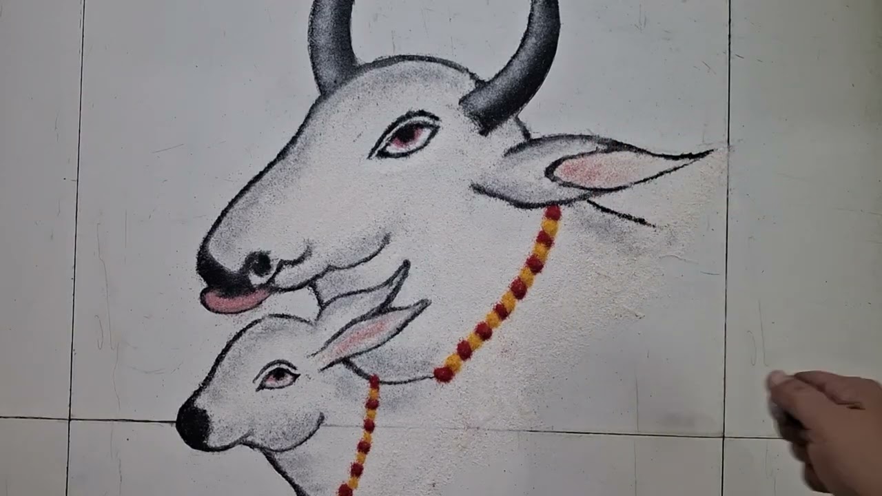 ✨️Vasubaras rangoli 🪔Diwali rangoli ✨️ वसुबारस रांगोळी 🪔 दिवाळी रांगोळी दिपावली रंगोली 