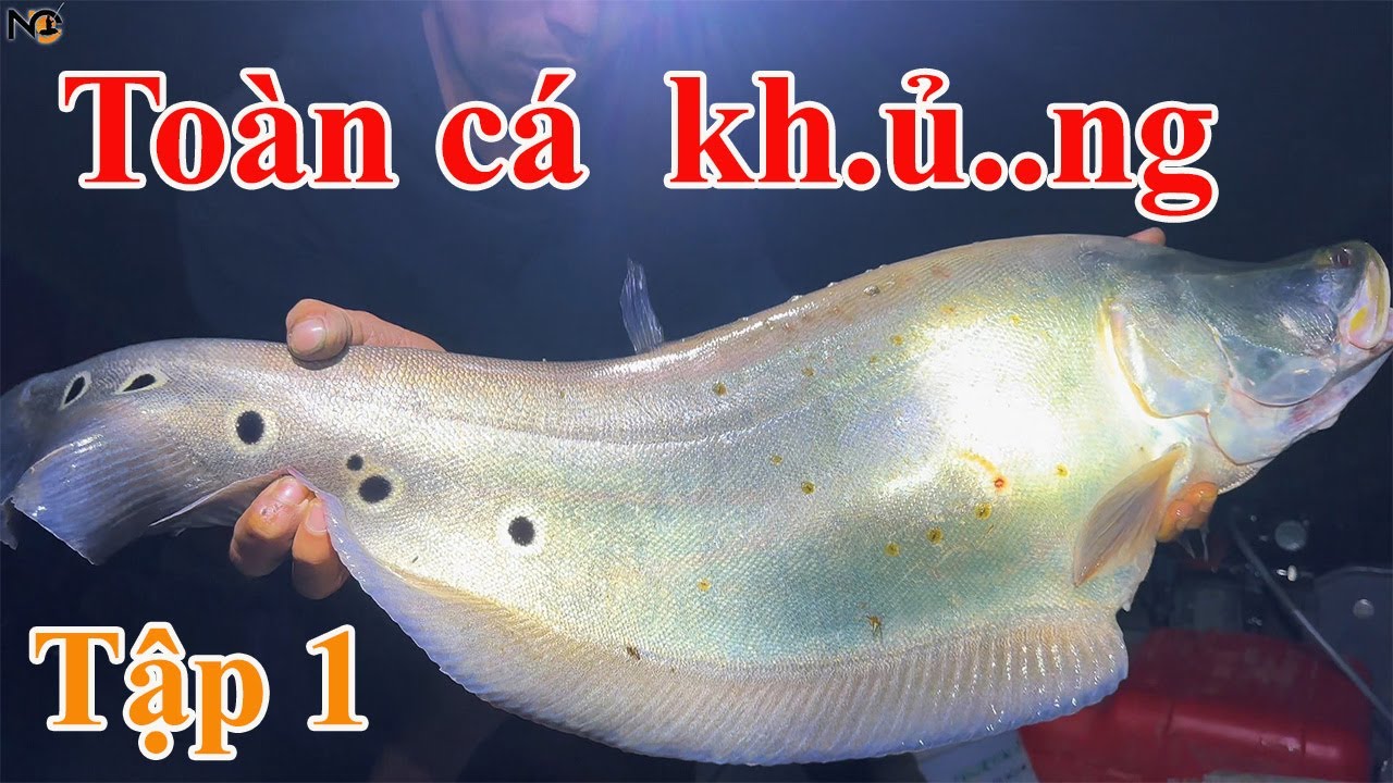 Hành trình săn cá lớn phá vỡ mọi kỷ lục tập 1