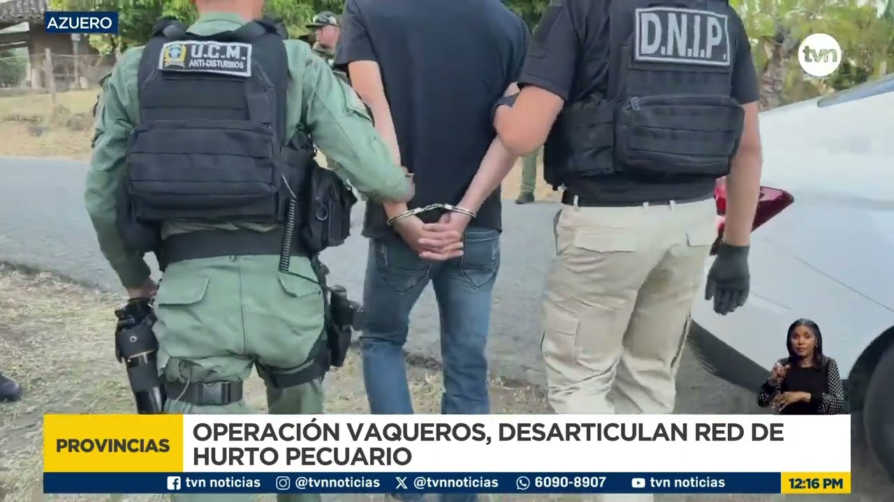 Desmantelan red dedicada al hurto pecuario en Azuero