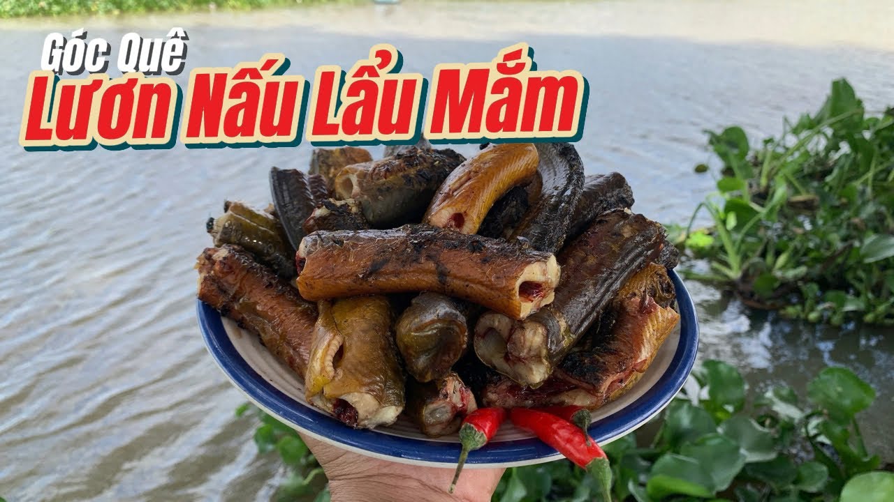 Lươn Đồng Nấu Mắm, Cá Lóc Nướng - Hương Vị Sông Nước Miền Tây | Góc Quê