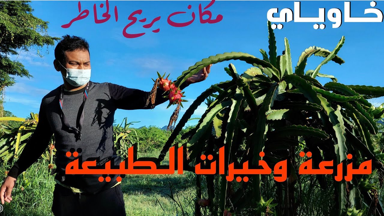 جولة في المدينة المرتفعة خاوياي التايلاندية