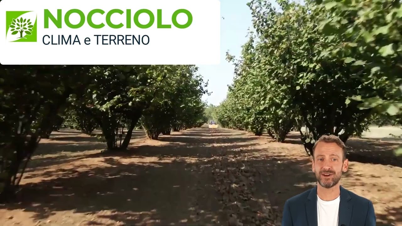 Il Nocciolo 🌳 🥝 🥥  🍒 🥭 🌰 Pianta.land